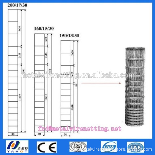 Hot Dipped Galvanized Wire Mesh For Grassland fence